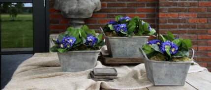 Kunstplanten stylen doe je zo - 7 voorbeelden