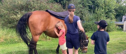 10 tekenen dat je op een paard- en kindvriendelijke manege bent