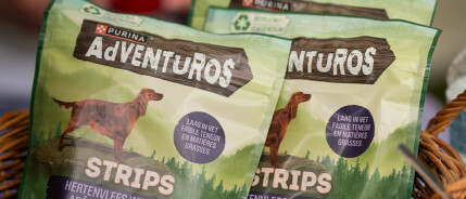 Hoe Purina en AAP samen de band tussen mens en dier versterken