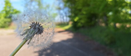Creatieve zomer challenge bijna van start