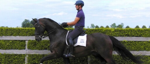 Over de zin en onzin betreffende de loodlijn