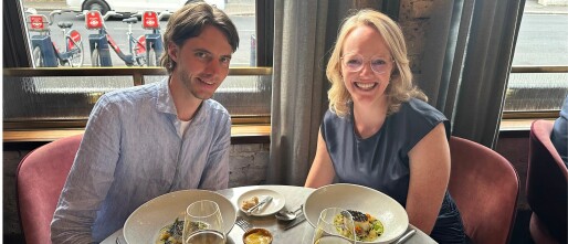 Honeymoon Miracles #3: Having found the man of my dreams