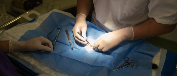 Iedere veterinaire professional verdient een gedegen inwerkperiode