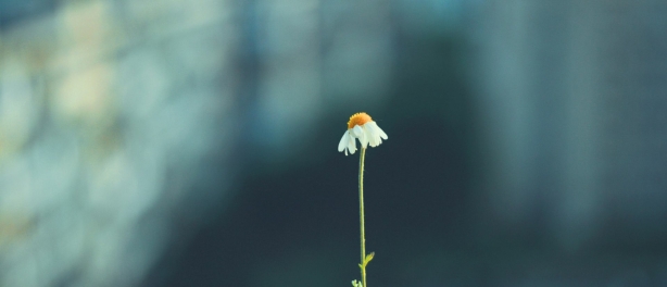 Herstel betekent niet beter worden, maar opnieuw leren leven