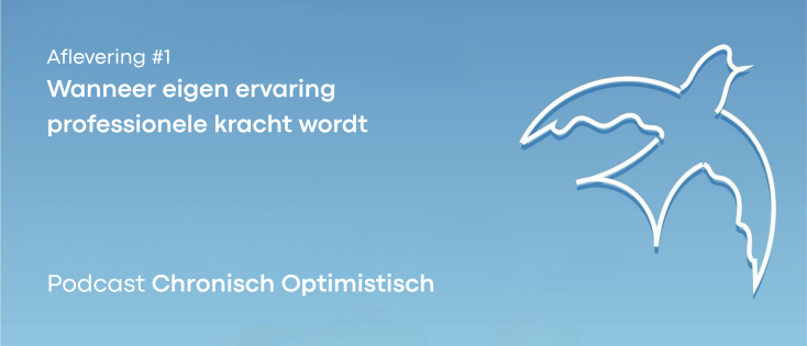#1 Wanneer eigen ervaring professionele kracht wordt