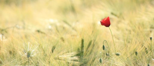 Ruimte innemen voor innerlijke rust – 4 tips voor meer balans