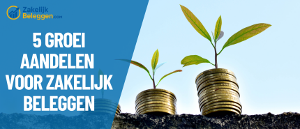 5 Groei Aandelen Kopen voor Zakelijk Beleggen: Hoog Risico Beleggen voor Ondernemers