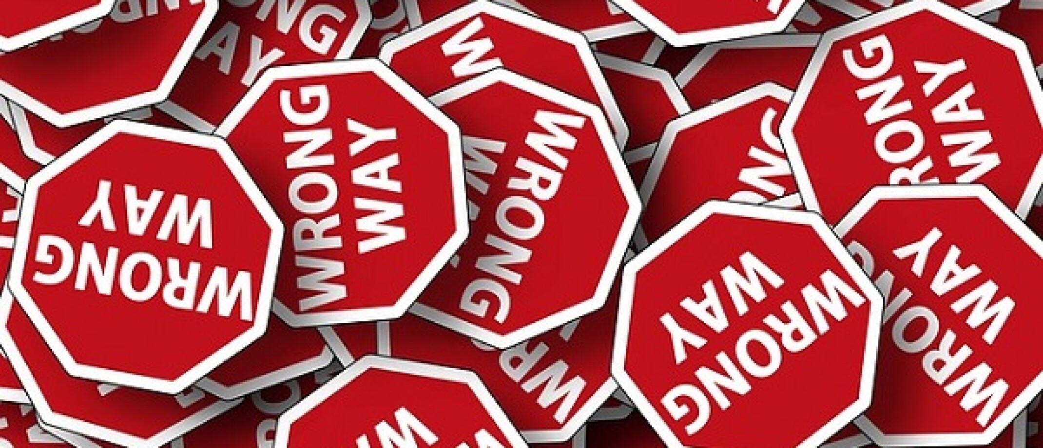 Wat zet je op de achterkant van je boek?