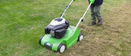 Wanneer gazon verticuteren in het voorjaar? Leer alles over de juiste timing