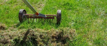 Kun je verticuteren in de zomer? Voorkom enorme schade