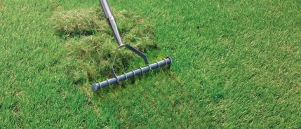 Wanneer NIET verticuteren (belangrijk!)