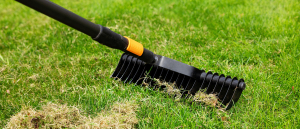 Wat gebeurt er met het gras (plantje) wanneer je verticuteert?