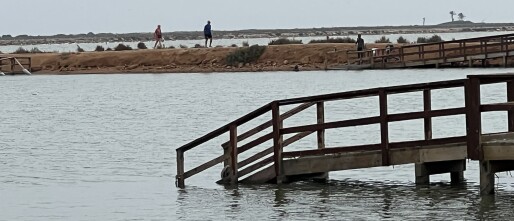 Modderbaden van San Pedro del Pinatar