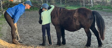 Doelen van de Paardenverkenners lessen