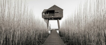 Biophilia & Spiritualiteit - terug naar wie we zijn