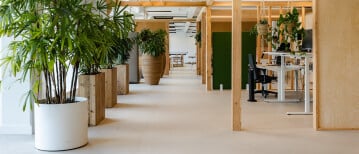 Impact maken met biophilic design