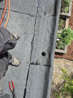 Bitumen Op Rol Bitumen Dakbedekking Rol | Soorten, Toepassing & Kosten per m²