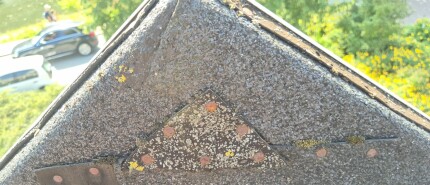 Kan bitumen lekkages dichten? Alles over reparatie, overlaging en duurzame oplossingen