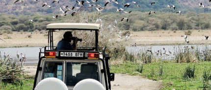 Groepsreis of privésafari? Zo kies jij de beste optie voor jouw Tanzania-avontuur