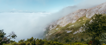 Waarom stilte ongemakkelijk is (en waarom dat goed is)