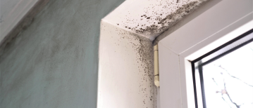 Schimmel in huis en vermoeidheid: Hoe gevaarlijk is het echt?