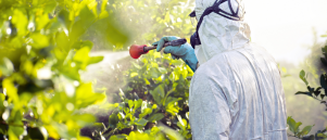 Wat zijn Pesticiden? Betekenis, Gebruik en Hun Rol in de Landbouw