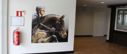 Muurprint Paardensport Centrum