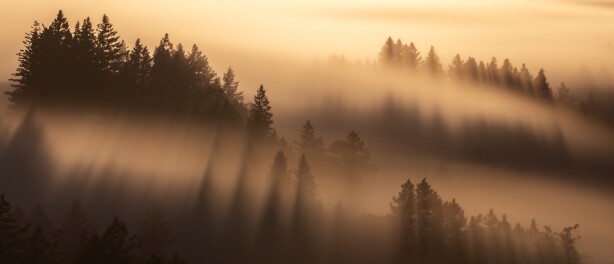 Van onwetendheid naar bewustwording