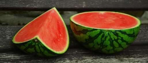 Waarom de watermeloen zoveel meer is dan een zomers tussendoortje