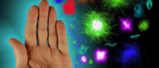 Wat gebeurt er écht in je lichaam?Je immuunsysteem en waarom je klachten niet uit de lucht komen vallen