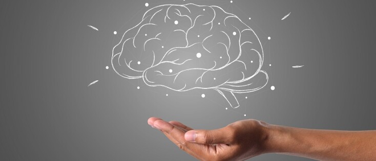 Ontdek de kracht van jouw flexibele brein – Hoe kleine veranderingen groot verschil maken