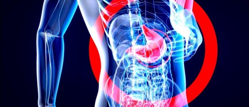 Je maag en emoties: waarom je buikgevoel meer zegt dan je denkt