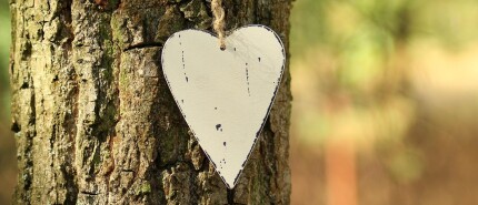 Emotionele blokkades: hoe cranio sacraal therapie je helpt loslaten