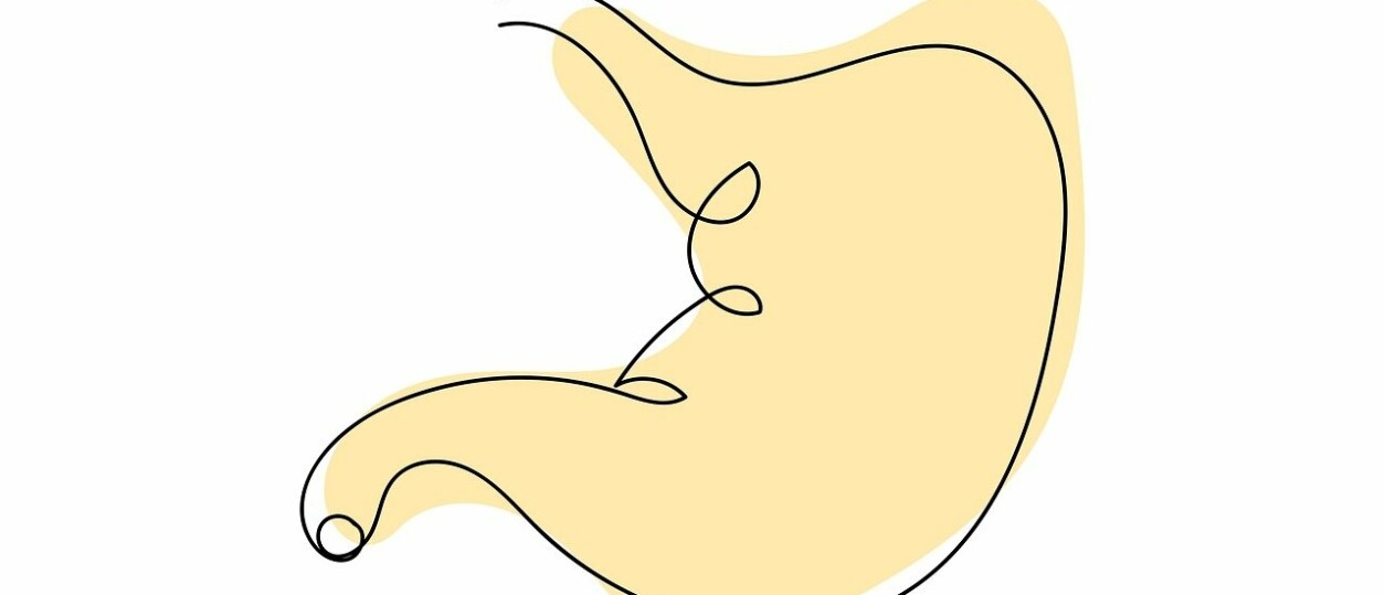 Je maag en emoties: waarom je buikgevoel meer zegt dan je denkt