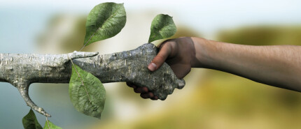 Als de natuur vertraagt – leven in het ritme van de seizoenen