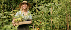 De polycultuur moestuin van juli