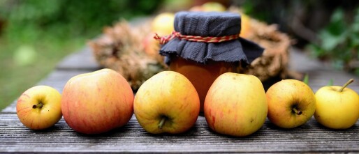 Jam, sap en saus inmaken zonder suiker