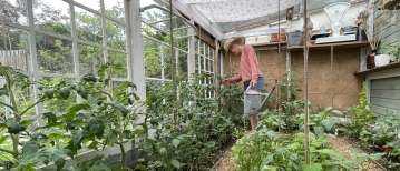 Winteronderhoud van je kas: tips voor een gezonde bodem en sterke planten
