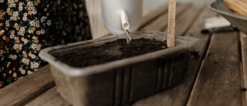 Wormenmest van Wormenkwekerij Wasse