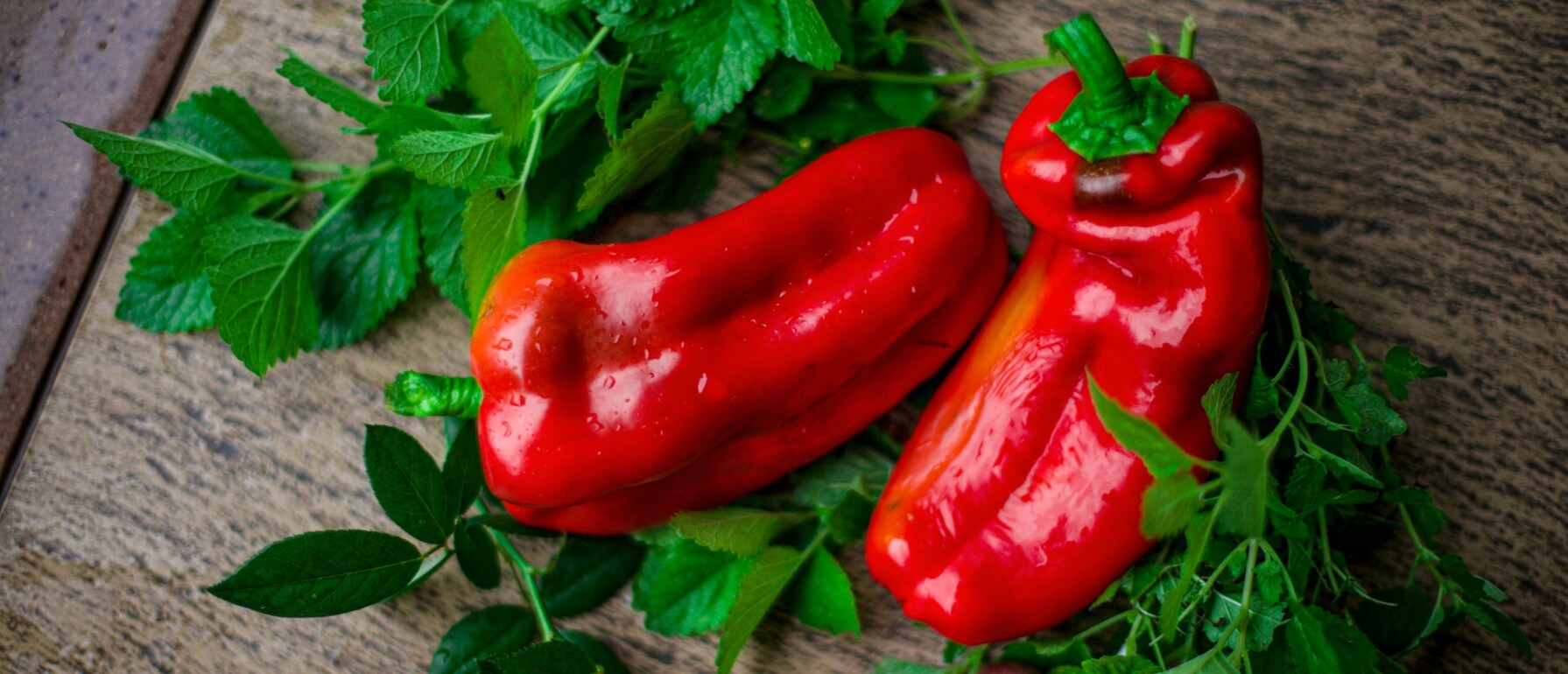 Paprikas en pepers kweken