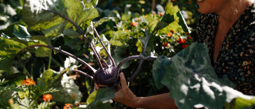 Zelfvoorzienend leven met een moestuin