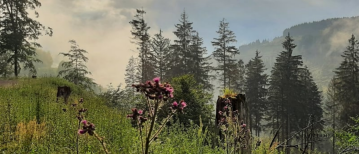 6 Gründe für einen Urlaub im Harz