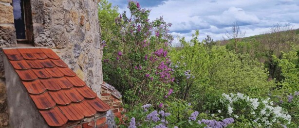 Sommerurlaub im Harz