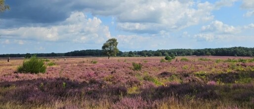Bussum activiteiten & nieuwe mensen leren kennen