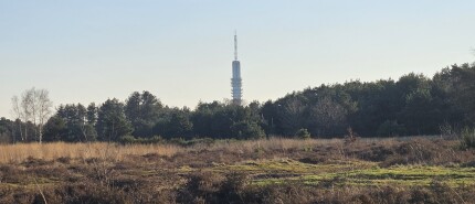 Nieuwe mensen leren kennen in Hilversum en de Gooi & Vechtstreek.  Wandel, ontmoet en verbind