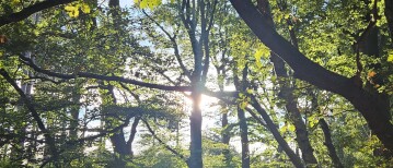 Ontdek de SocialMix Wandelclub op 14 december in Bussum!