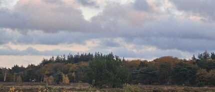 Nieuwe vrienden maken in Bussum: zo werkt het met SocialMix