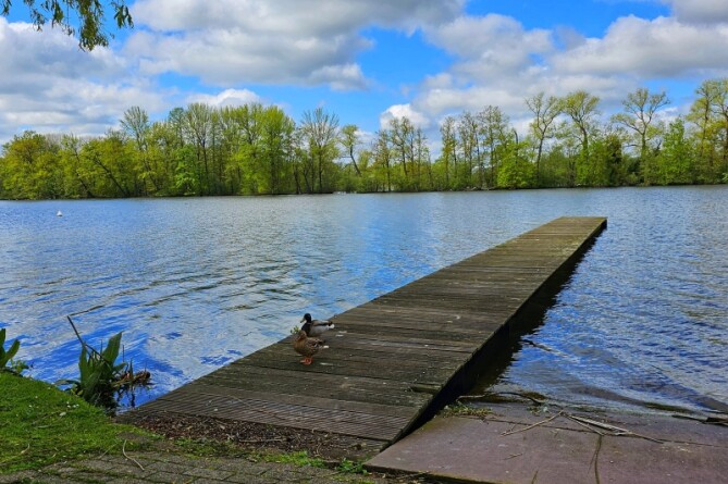 Het Donkmeer In Berlare