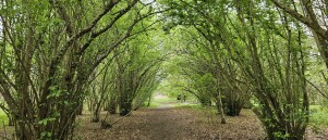 Wandelroute Den Battelaer in Mechelen