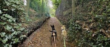 Wandeling langs de mooiste plekjes van Deurle: Gust De Smetwandelroute